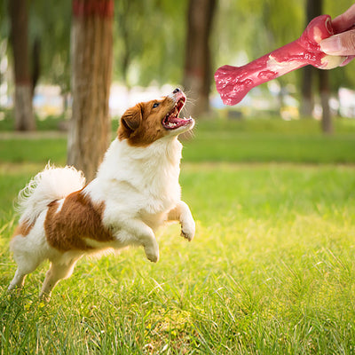 Juguete Masticable para Perros Grandes - Hueso Resistente a Mordidas - Image 3