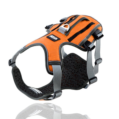 Arnés Reflectante y Transpirable para Mascotas con Cuerda de Tracción - Image 7
