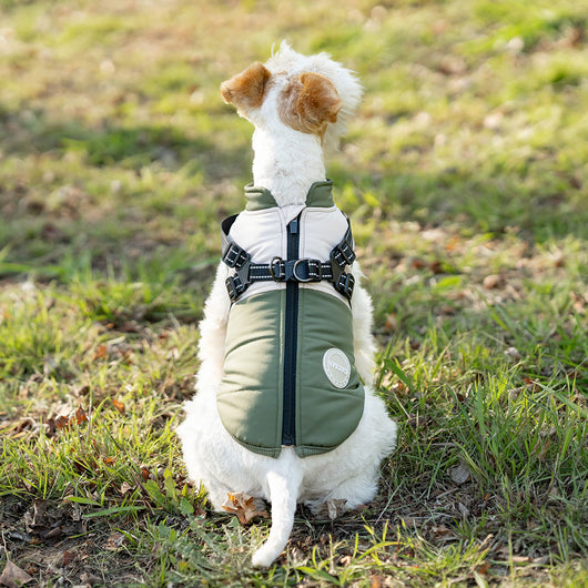 Chaleco Térmico Protector para Perros - Image 3