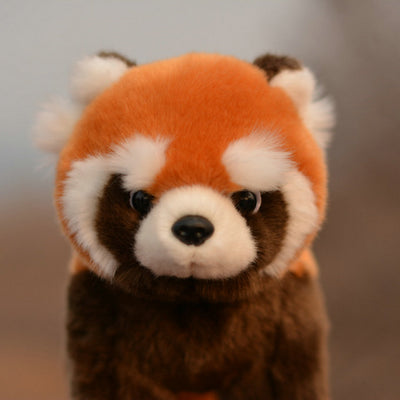 Muñeco Peluche Articulado con Alambre en Extremidades - Image 11