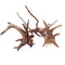 Raíz de Árbol Sumergida para Acuario - Decoración Natural de Madera
