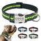 Collar Reflectante Personalizado para Perro con Nombre Grabado