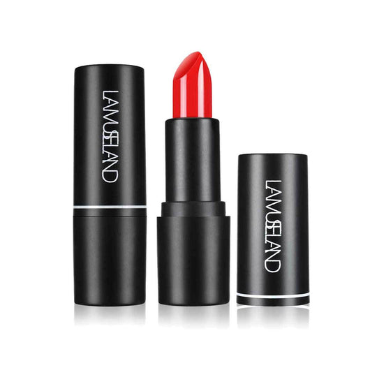 Labial Terciopelo Hidratante 12 Colores - Image 26