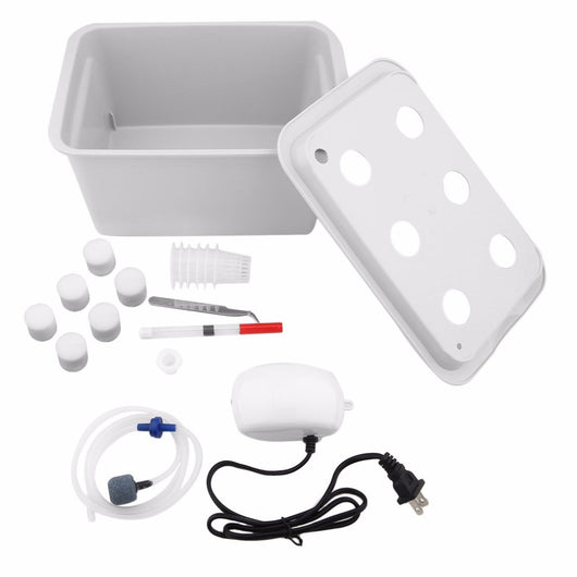 Kit de Cultivo Hidropónico para Balcón - Experimento Soilless