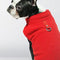 Abrigo Polar Térmico para Perros Pequeños y Medianos - Suéter Grueso Invierno