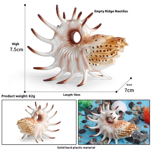 Juego Educativo de Animales Marinos Realistas para Niños - Image 66