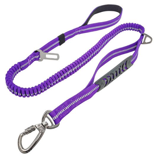 Correa Retráctil para Perro con Diseño Personalizado - Image 5
