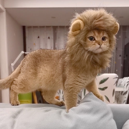 Diadema Divertida para Mascotas - Accesorios de Moda Cómica