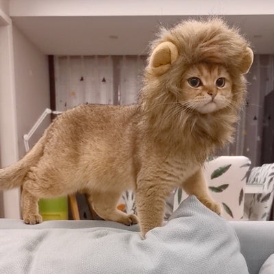 Diadema Divertida para Mascotas - Accesorios de Moda Cómica