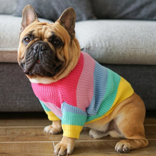 Suéter Arcoíris para Perros
