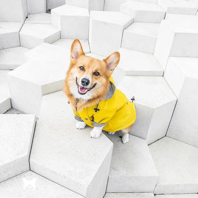 Impermeable para Perros - Abrigo Protector Contra Lluvia - Image 13
