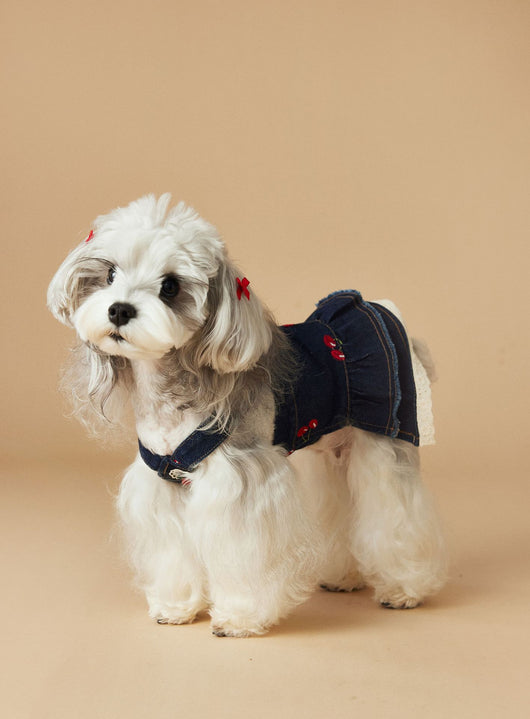 Vestido Denim de Cereza para Perras - Ropa de Primavera y Verano - Image 24