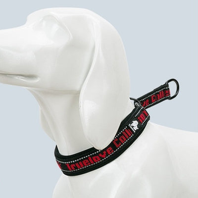 Collar Ajustable para Perro Truelove con Tela de Buceo Reflectante