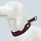 Collar Ajustable para Perro Truelove con Tela de Buceo Reflectante