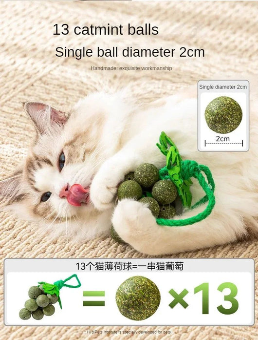 Juguetes Interactivos para Gatos con Hierba Gatera, Palitos Masticables Resistentes - Image 11