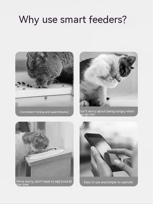 Comedero Automático Inteligente para Mascotas con Control Remoto y Monitoreo por Video - Image 31