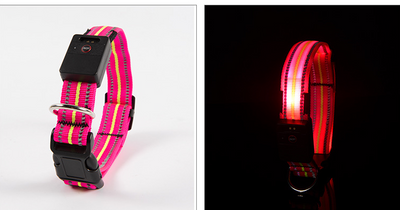 Collar Inteligente para Mascotas con Fibra Óptica, Impermeable y Carga Magnética - Image 15