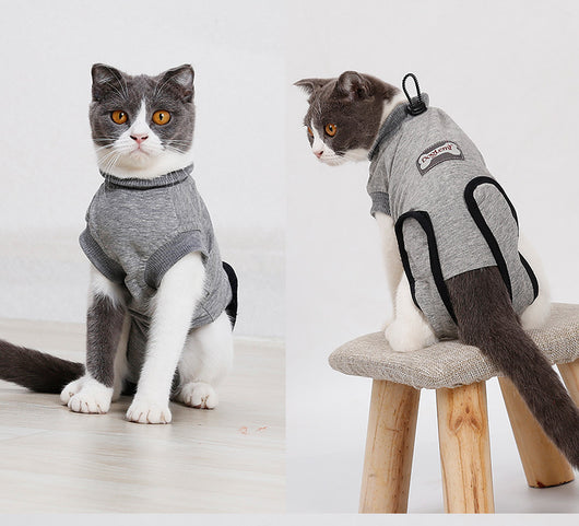 Traje de Recuperación Quirúrgica para Gatos - Protección Estéril Antiácaros - Image 3