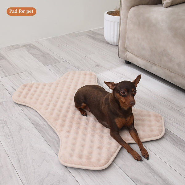 Tapete Antideslizante para Mascotas Pequeñas y Medianas - Protección Total