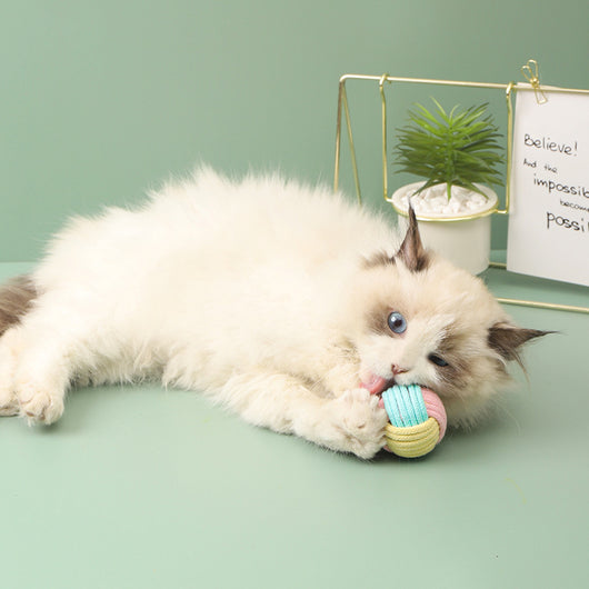 Juguete Interactivo de Pelota de Algodón para Gatos - Entretenimiento y Limpieza Dental - Image 2