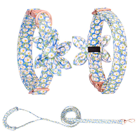 Juego de Collar y Correa Personalizado para Mascotas - Image 78