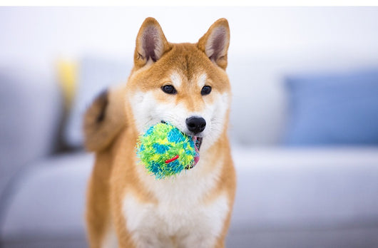 Pelota Masticable Sonora para Perros - Juguete Duradero - Image 14