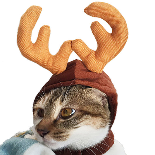 Gorro Cálido Disfraz Mascota Perro Gato - Accesorios Fotográficos - Image 30