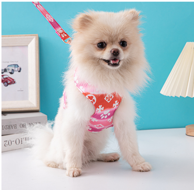 Arnés de Moda para Perro con Cuerda de Tracción Premium - Image 8