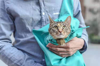 Bolsa Transportadora de Gatos Plegable - Diseño Suave para Corte de Uñas - Image 11