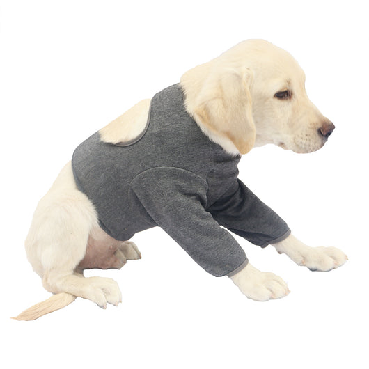 Protectores de Patas Delanteras para Perros - Doble Protección - Image 10