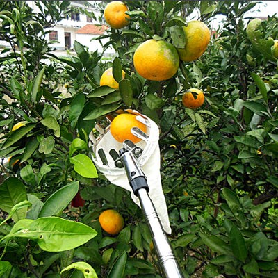 Recolector de Frutas Telescópico para Huertos de Altura - Image 9