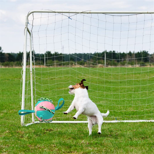Red and green interactive dog football soccer ball with rope and fabric tabs for training and outdoor play. - Image 30