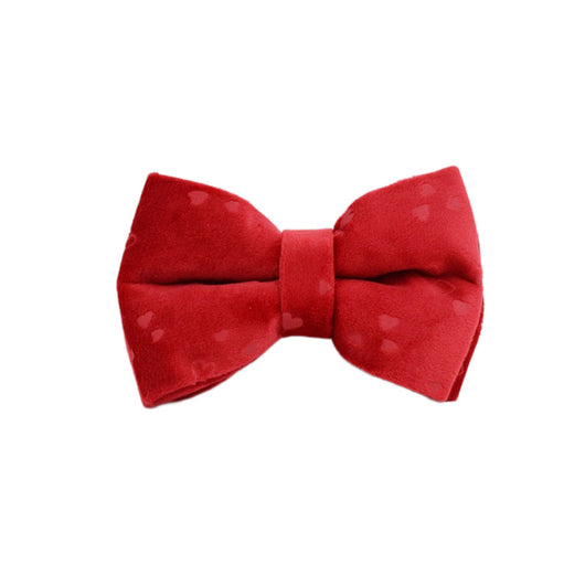 Collar de Terciopelo para Perros - Diseño Elegante y Cómodo - Image 14