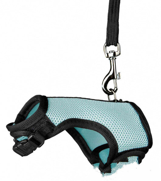 Correa de Seguridad para Mascotas Pequeñas - Image 6