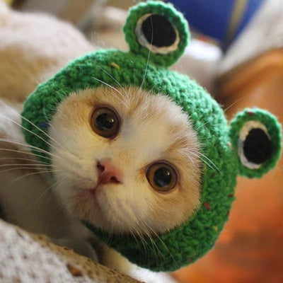 Gorro Tejido para Mascotas - Sombrero Divertido para Gatos y Perros - Image 7