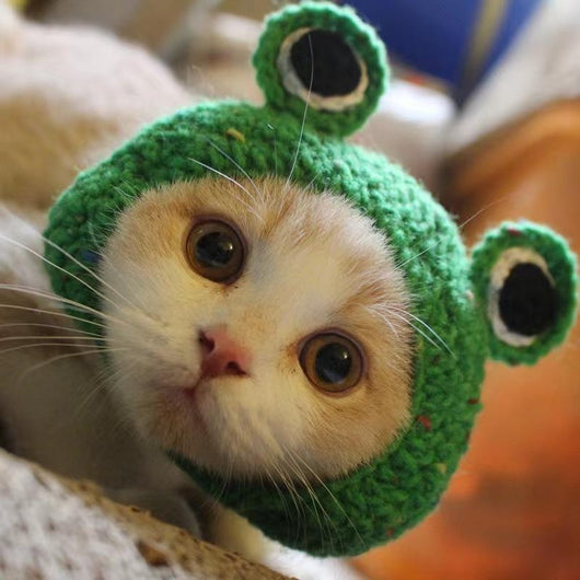 Gorro Tejido para Mascotas - Sombrero Divertido para Gatos y Perros - Image 7