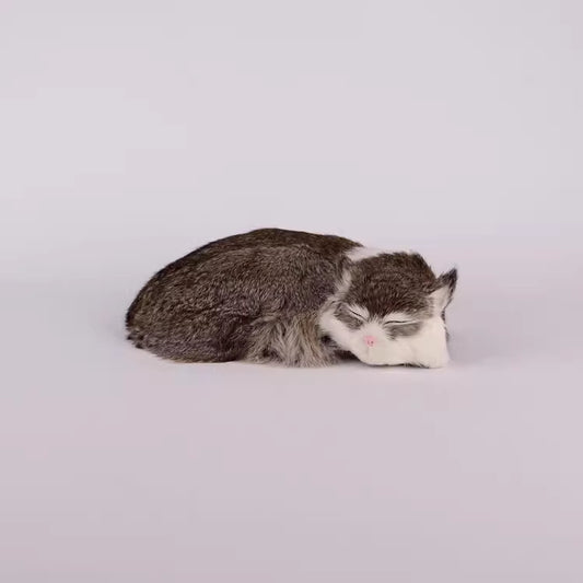 Gatito de Simulación M - Figura Decorativa Realista - Image 2