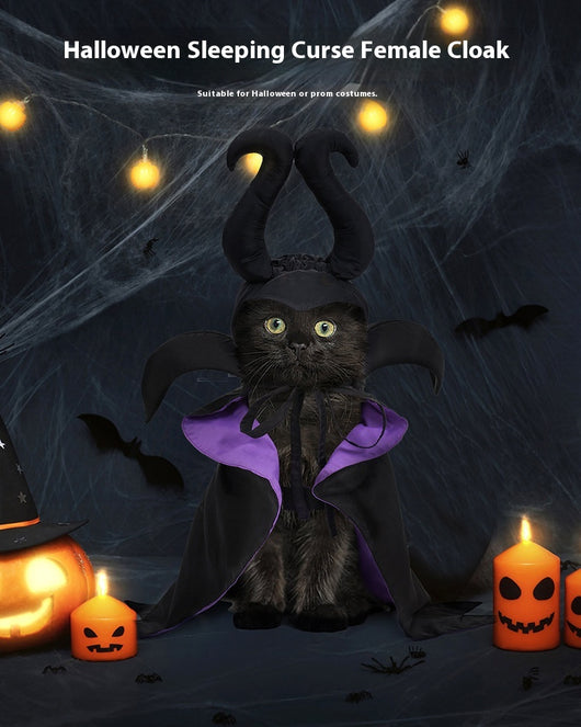 Capa y Sombrero de Halloween para Perros - Disfraz Festivo para Mascotas - Image 6