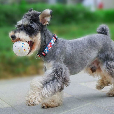 White bone-shaped dog toy with colorful speckles, labeled as interactive and bite-resistant.