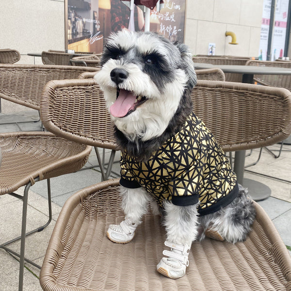 Ropa de Verano para Perros con Acabado Dorado Brillante