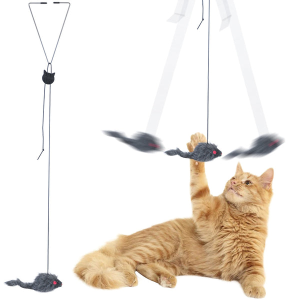 Orange cat playing with a gray plush mouse hanging from an elastic door toy with an adjustable buckle.
