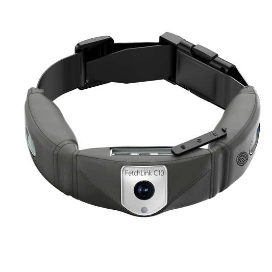 Collar Inteligente C10 para Mascotas con Monitoreo de Salud - Image 2