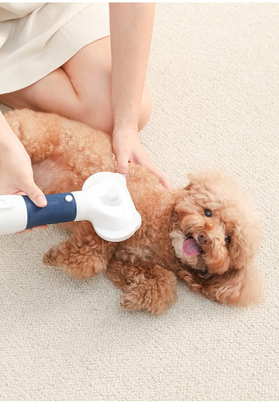 Secador de Aire para Mascotas - Herramienta Profesional de Grooming - Image 25