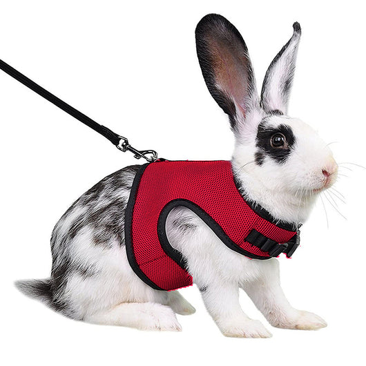 Light gray mesh pet harness with black trim and matching leash on a black and white rabbit. - Image 6