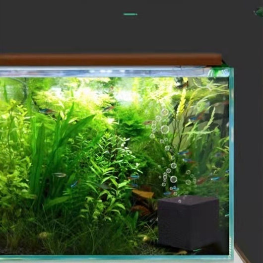 Cubo Purificador de Agua para Acuarios Grandes - Image 21