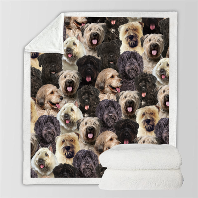 Manta Flanela Estampada para Perros de Moda - Image 50