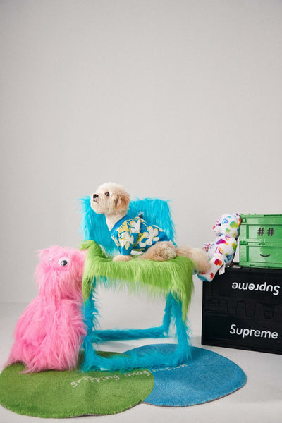 Suéter Cálido para Perros y Gatos - Abrigo de Invierno Teddy Bear Bomekoki - Image 6