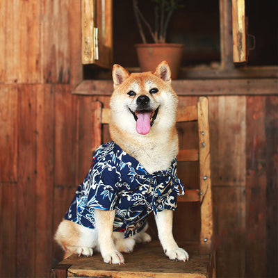 Kimono Tradicional Japonés para Shiba Inu - Image 4