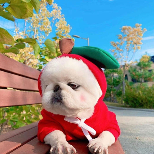 Ropa Adorable para Perros y Gatos - Chaleco de Algodón con Diseños Animados