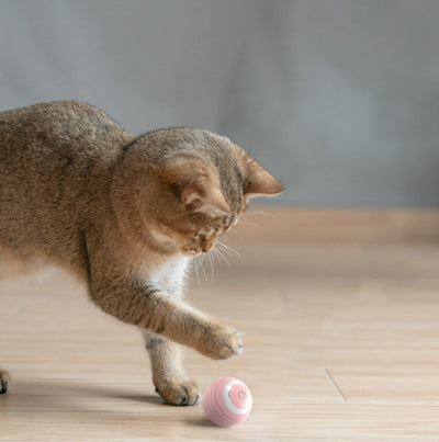 Juguete Interactivo Automático para Gatos - Pelota Rodante Inteligente - Image 4